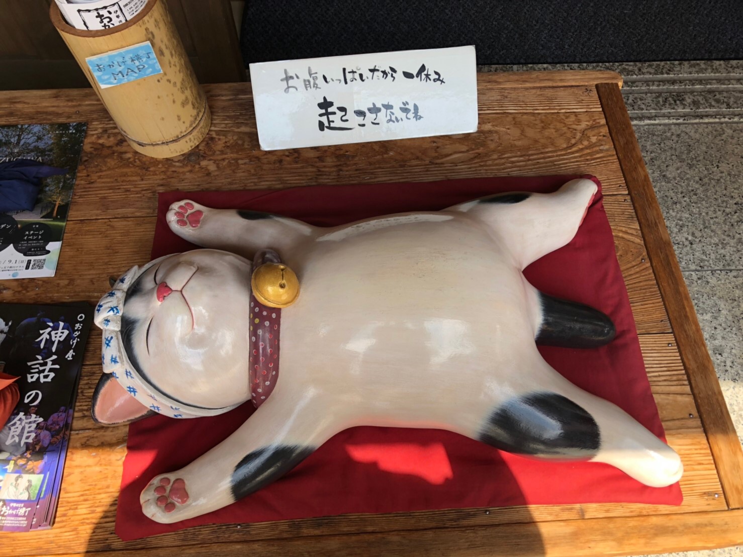 猫 猫