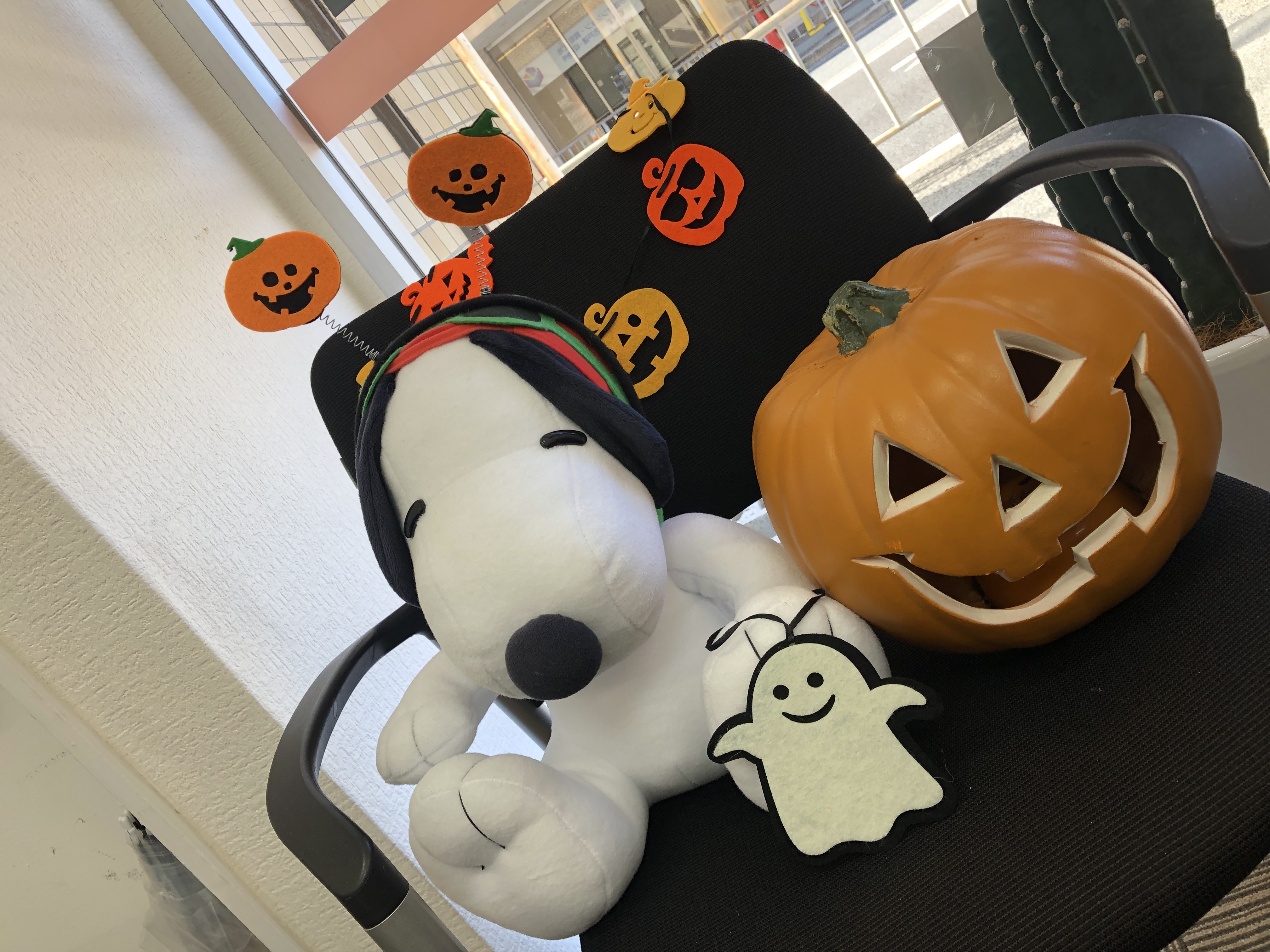 halloween halloween